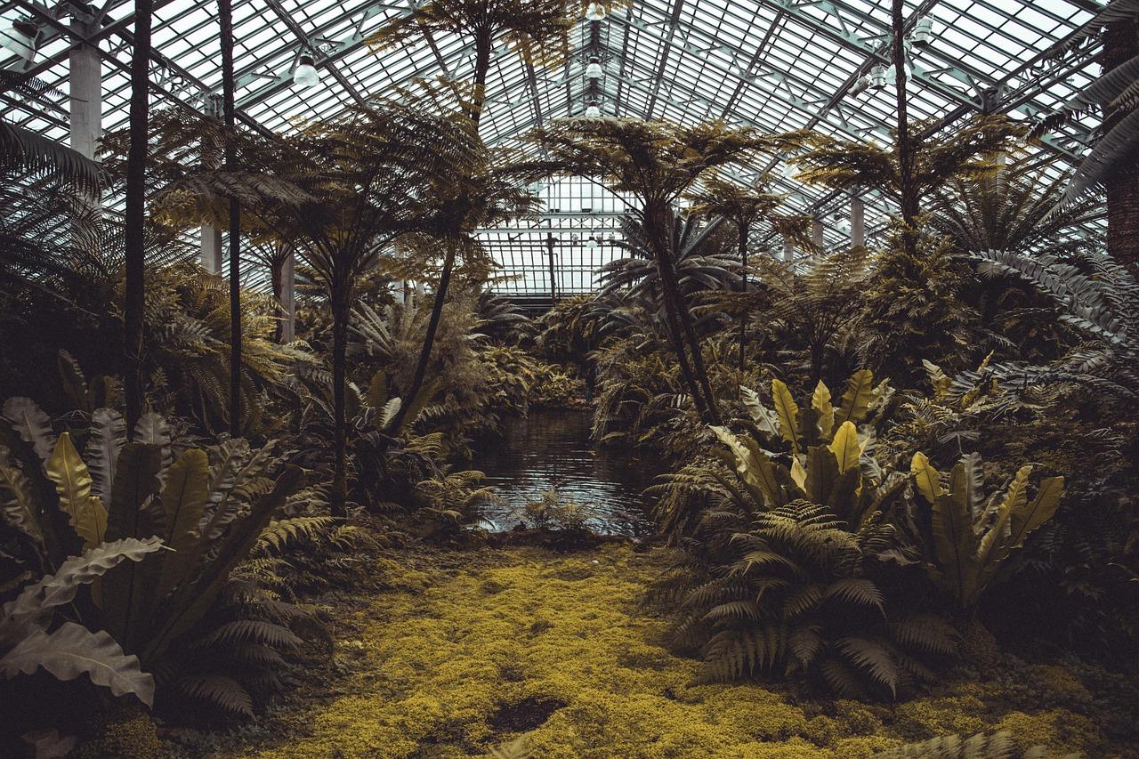 智能温室大棚